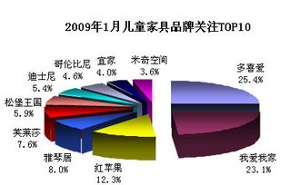 2009年1月家具市場品牌口碑調查研究報告
