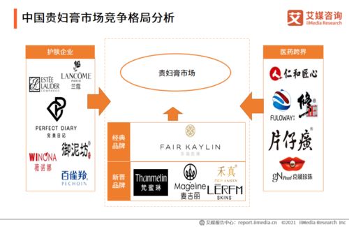 2020-2021年中國貴婦膏市場品牌分析及用戶調研報告